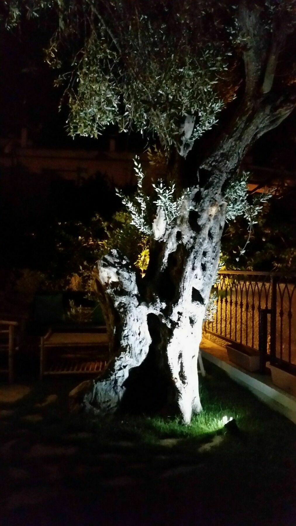 Cassiopeia Hotel Alaçatı Exterior foto